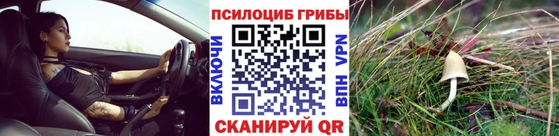 Псилоцибиновые грибы Magic Shrooms  Нижнекамск 